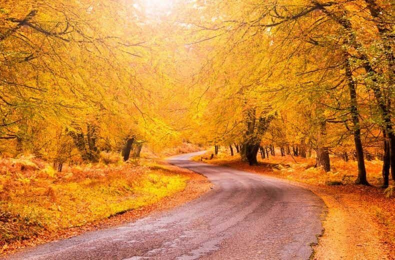 scenic autumn drives