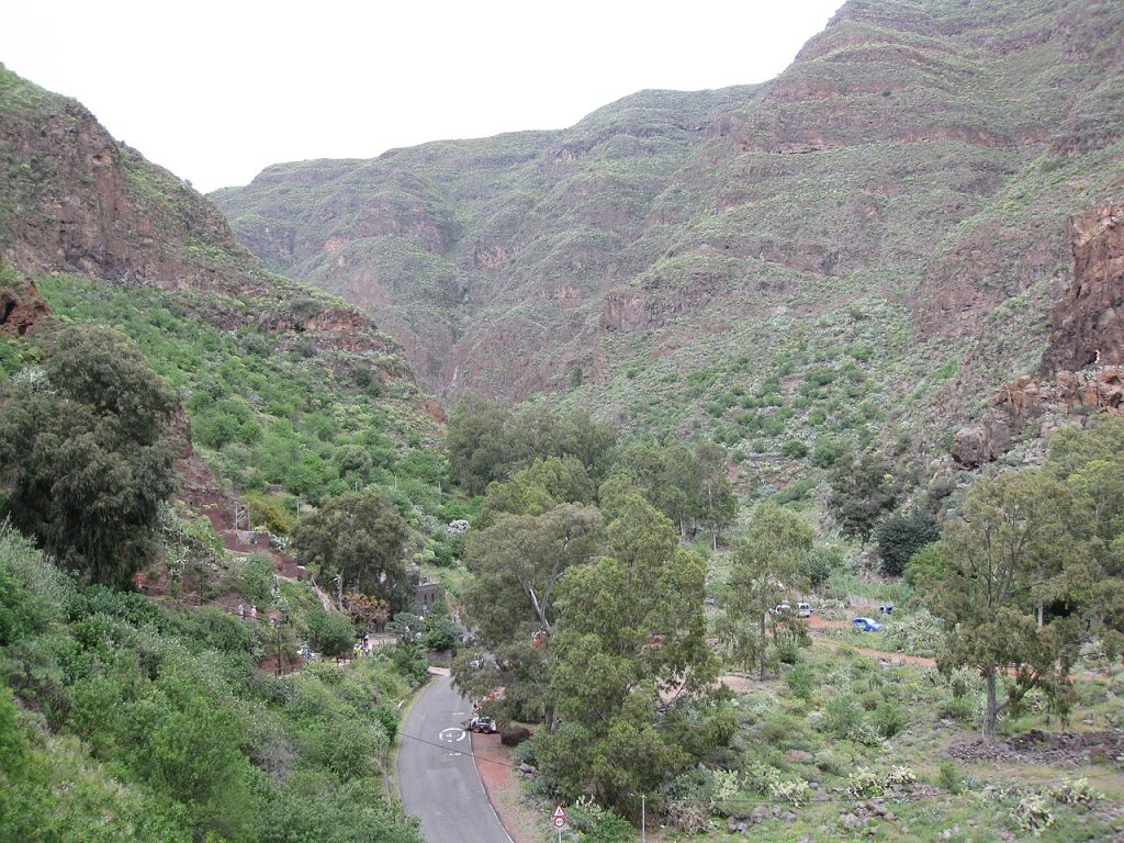 Drive 2 Barranco de Guayadeque Gran Canaria - cave houses in the ravine walls.