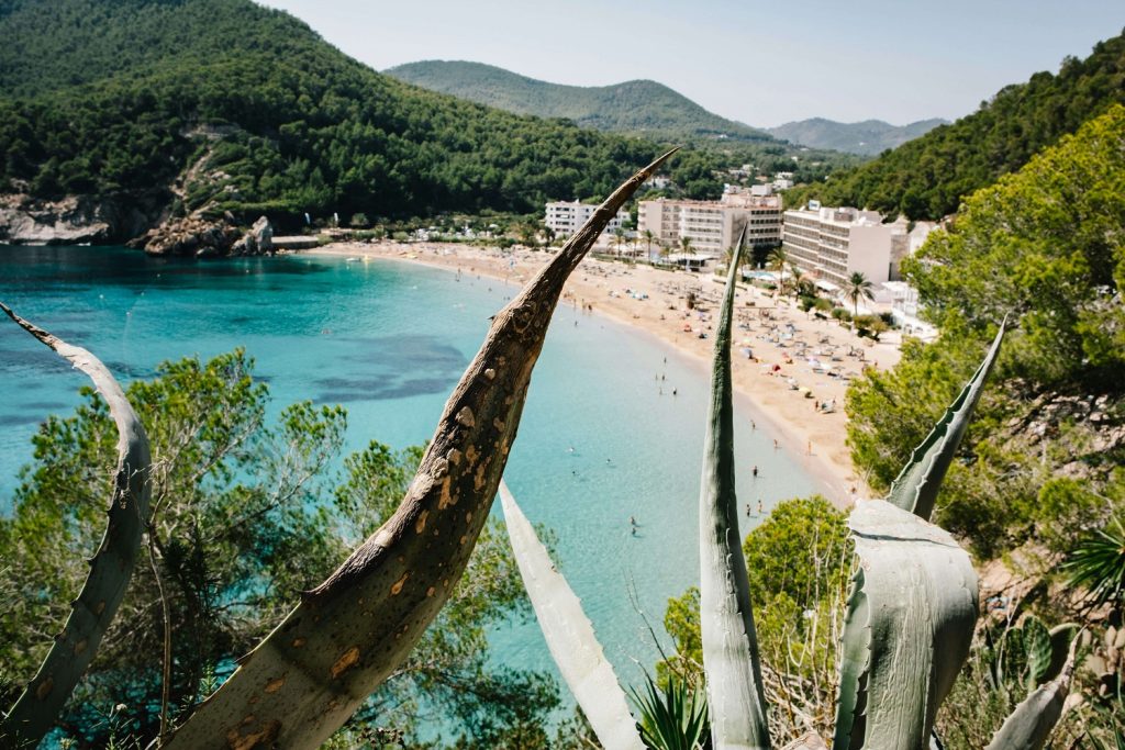 Drive 4 eastern coast road Ibiza C-732 - Cala de Sant Vicent beach with forested cliff backdrop.