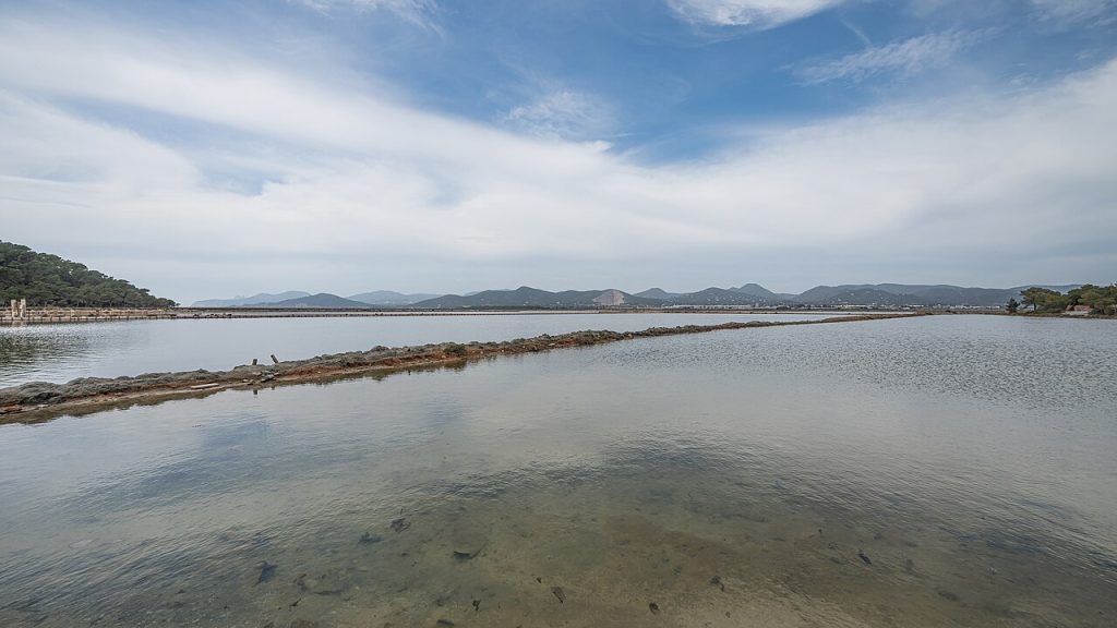 Drive 5 Ses Salines salt flats drive Ibiza PM-830 - pink salt pans in Ses Salines Natural Park.