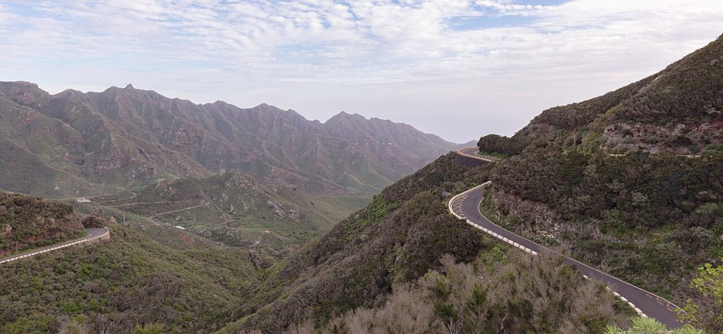 Drive 3 Anaga Rural Park loop Tenerife TF-12 - ancient laurel forest with light through the canopy.
