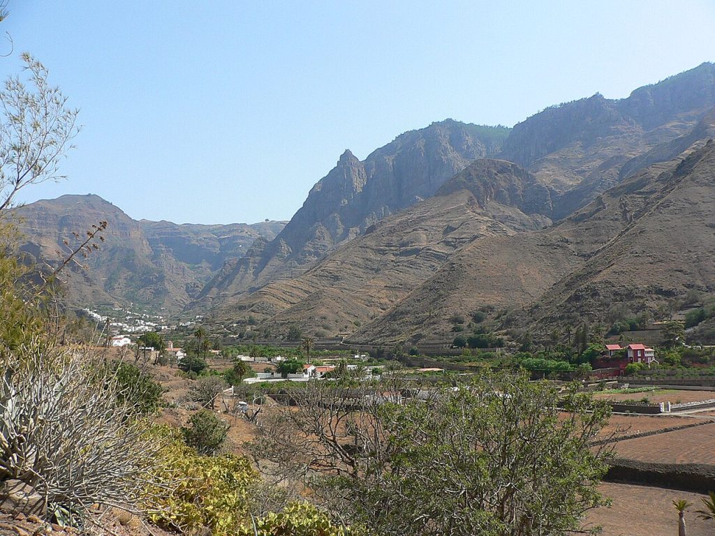 Drive 4 Agaete Valley loop Gran Canaria - Valle de Agaete coffee estate with mountain backdrop.