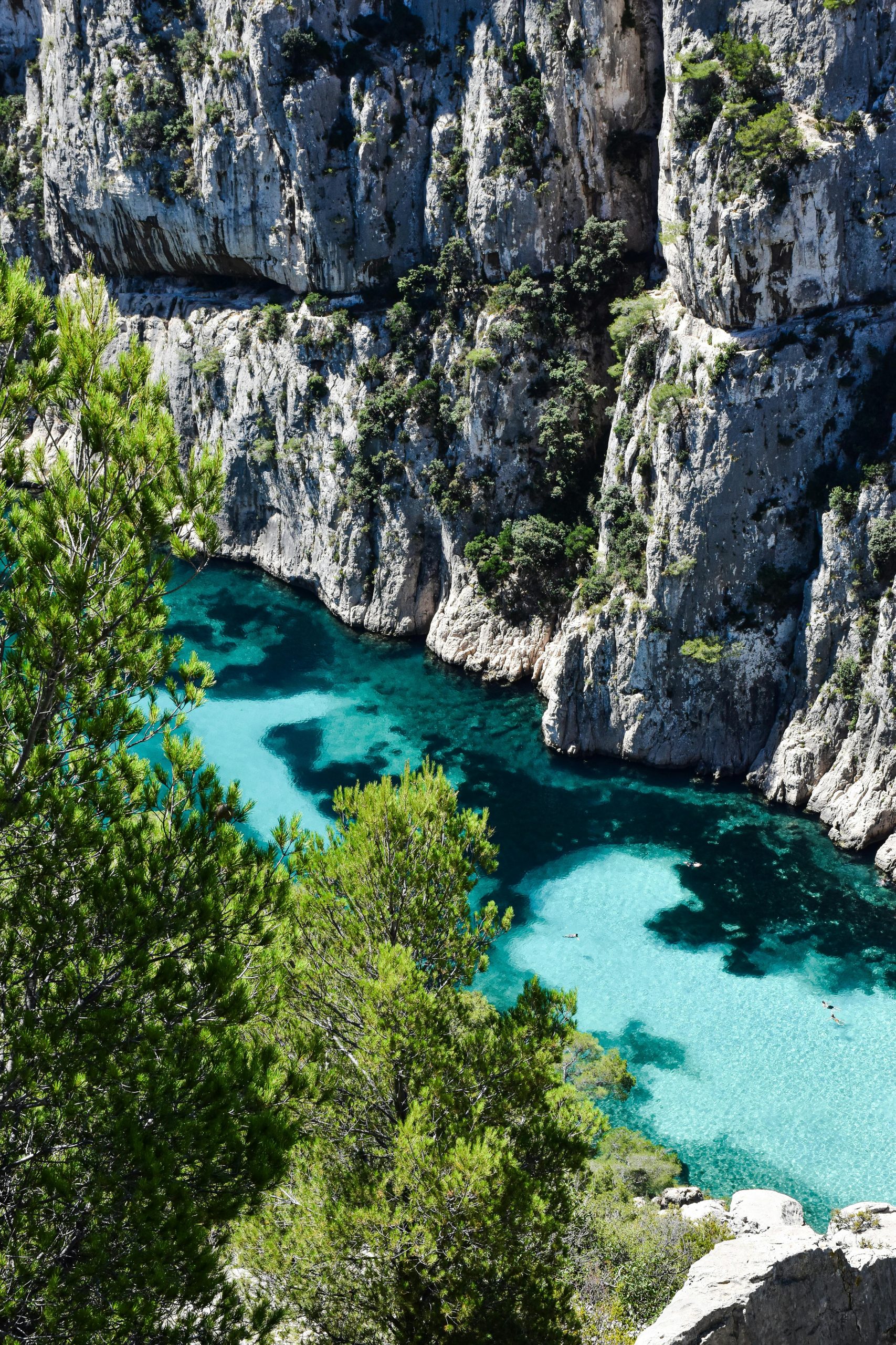 Car hire Marseille Airport on coastal road above the Calanques National Park with turquoise Mediterranean inlets between white limestone cliffs. 