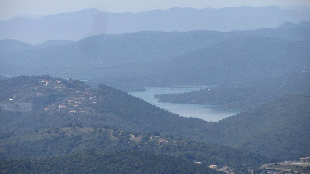 Wild mimosa trees in full yellow bloom covering the hillsides of the Tanneron massif above Mandelieu-La Napoule in February with the Esterel mountains visible in the background.