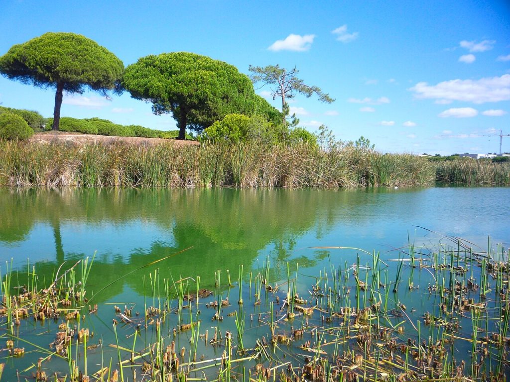 Circuit n° 5 : Parc naturel de la Ria Formosa, route côtière de l'Algarve le long de la lagune (EN125) – flamants roses dans les marais salants, avec les îles-barrières au loin.