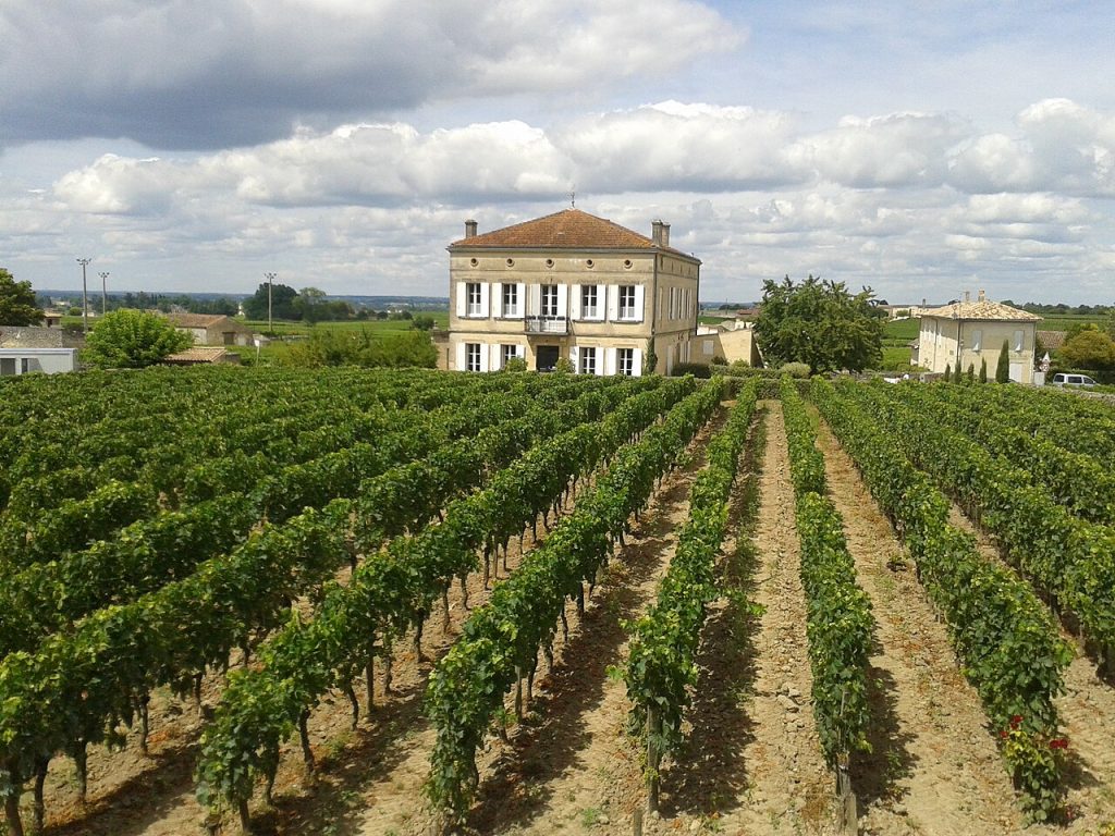 Car hire Bordeaux Airport on the wine road near Saint-Emilion with rows of Merlot vines on rolling limestone hillsides and a medieval chateau visible above the vines. 
