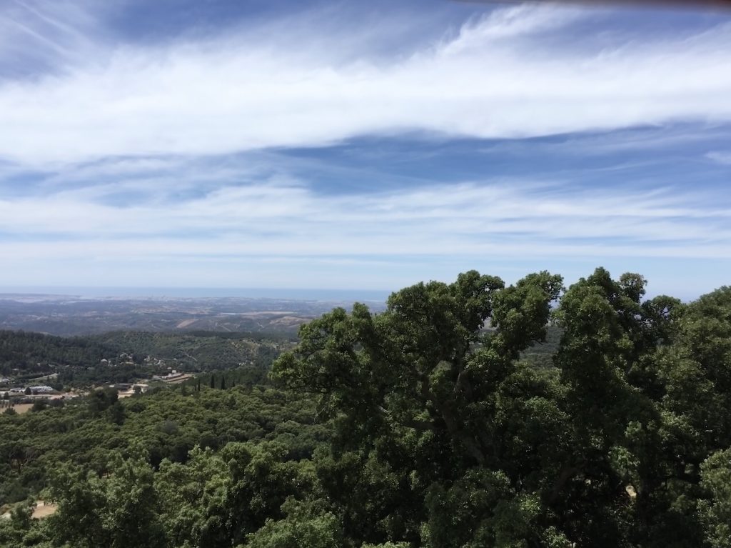 Serra de Monchique mountain road Algarve Portugal with cork oak forest and coastal view beyond.