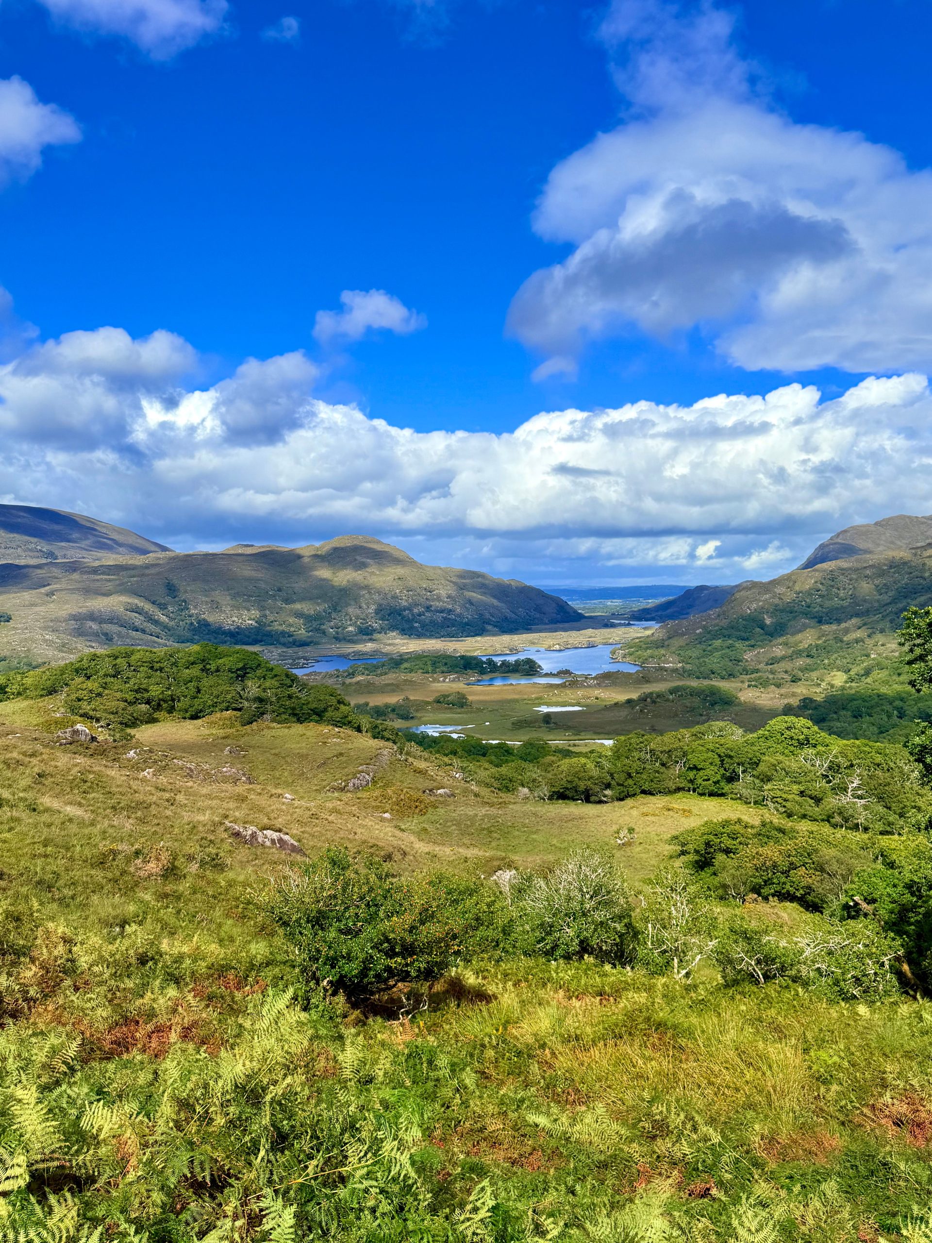 Ladies View near Molls Gap on the Ring of Kerry drive, overlooking the lakes of Killarney