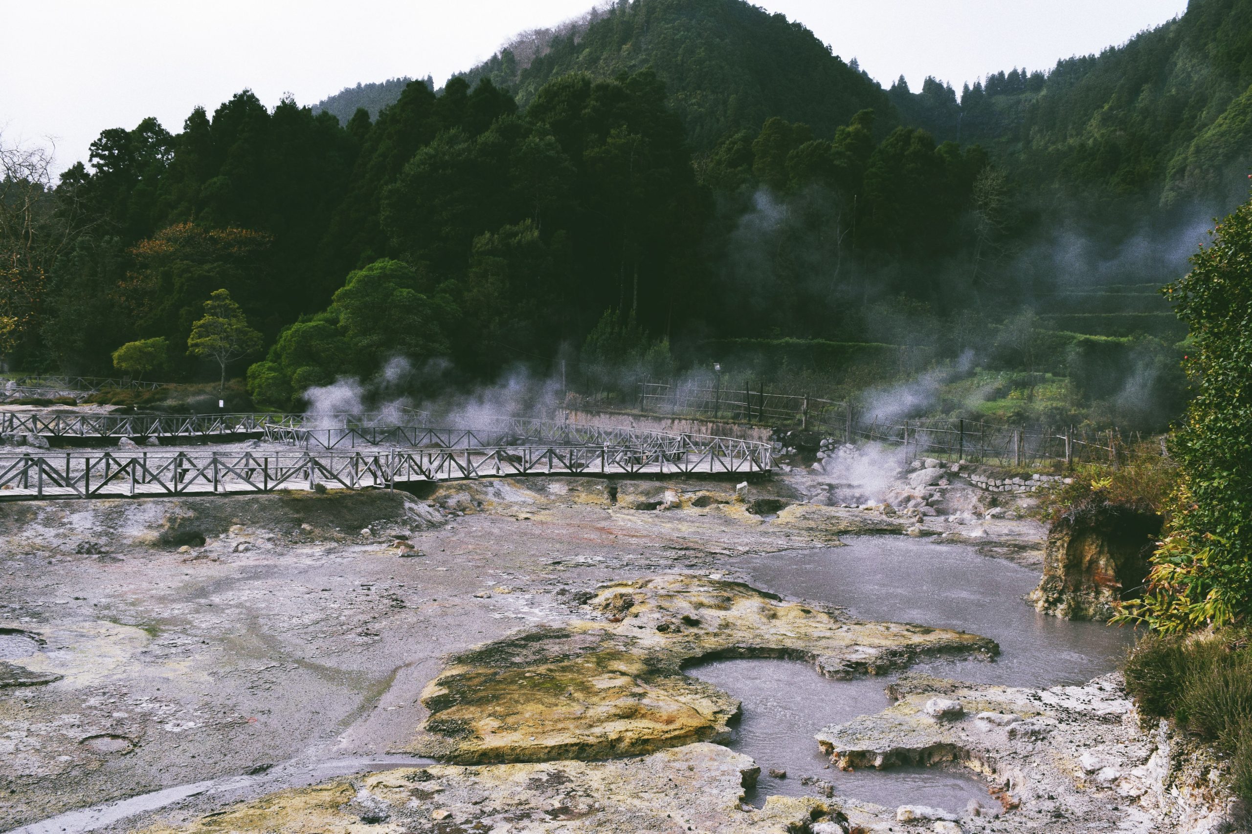 Steaming fumaroles and mud pots at the Caldeiras das Furnas, Sao Miguel