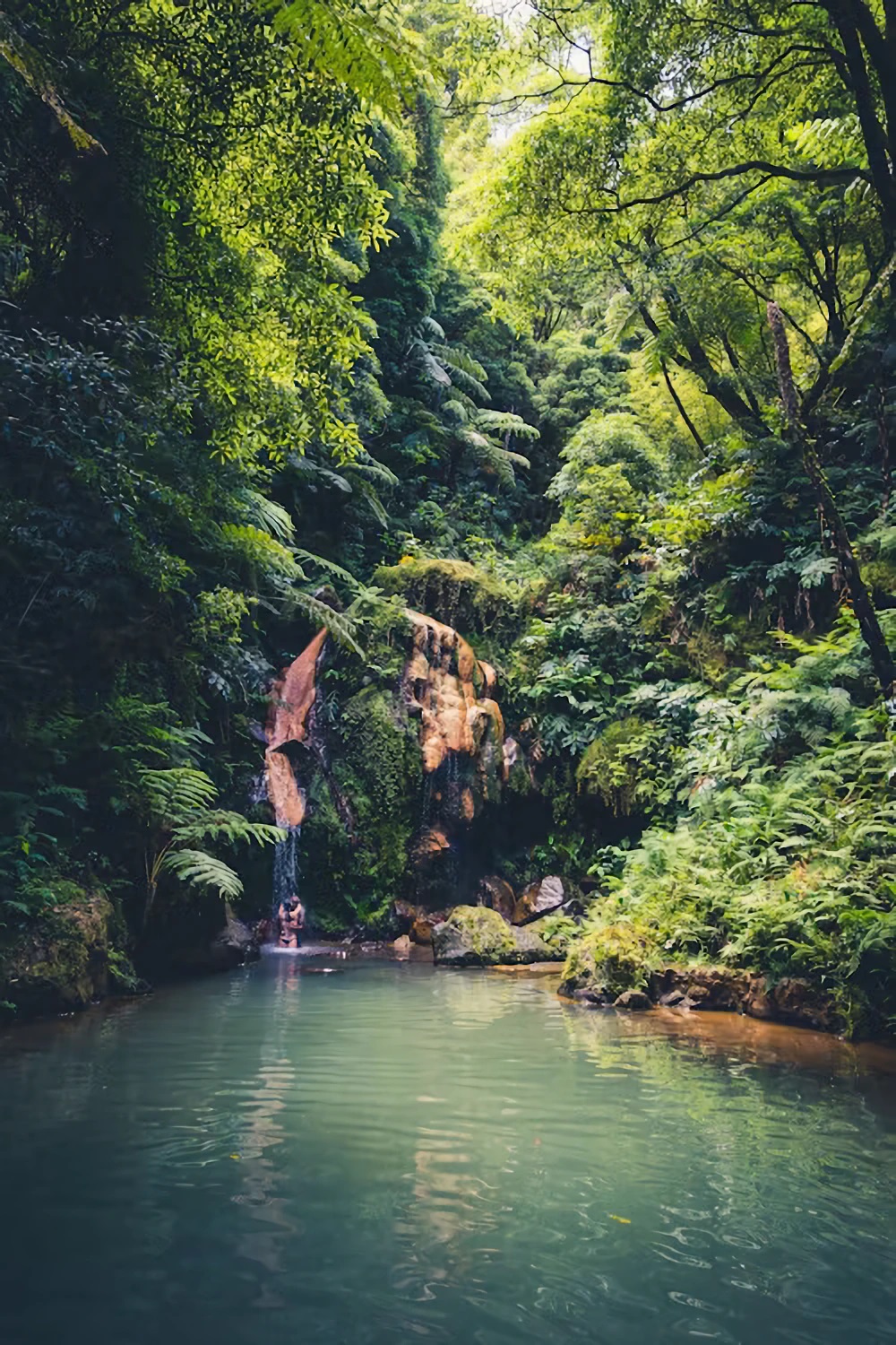 Caldeira Velha thermal waterfall and fern-ringed pool, Sao Miguel north coast