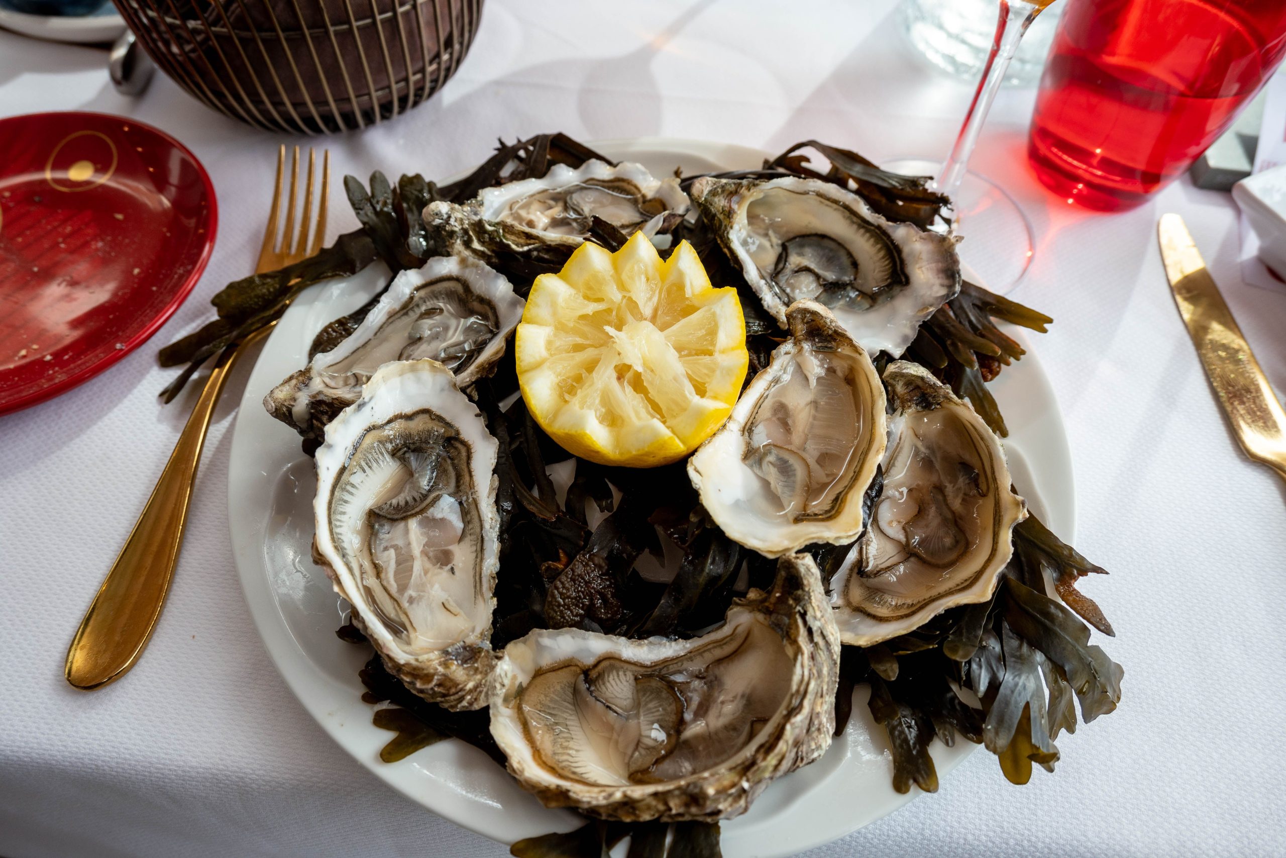 Fresh Breton oysters, a taste of the Carnac scenic drive
