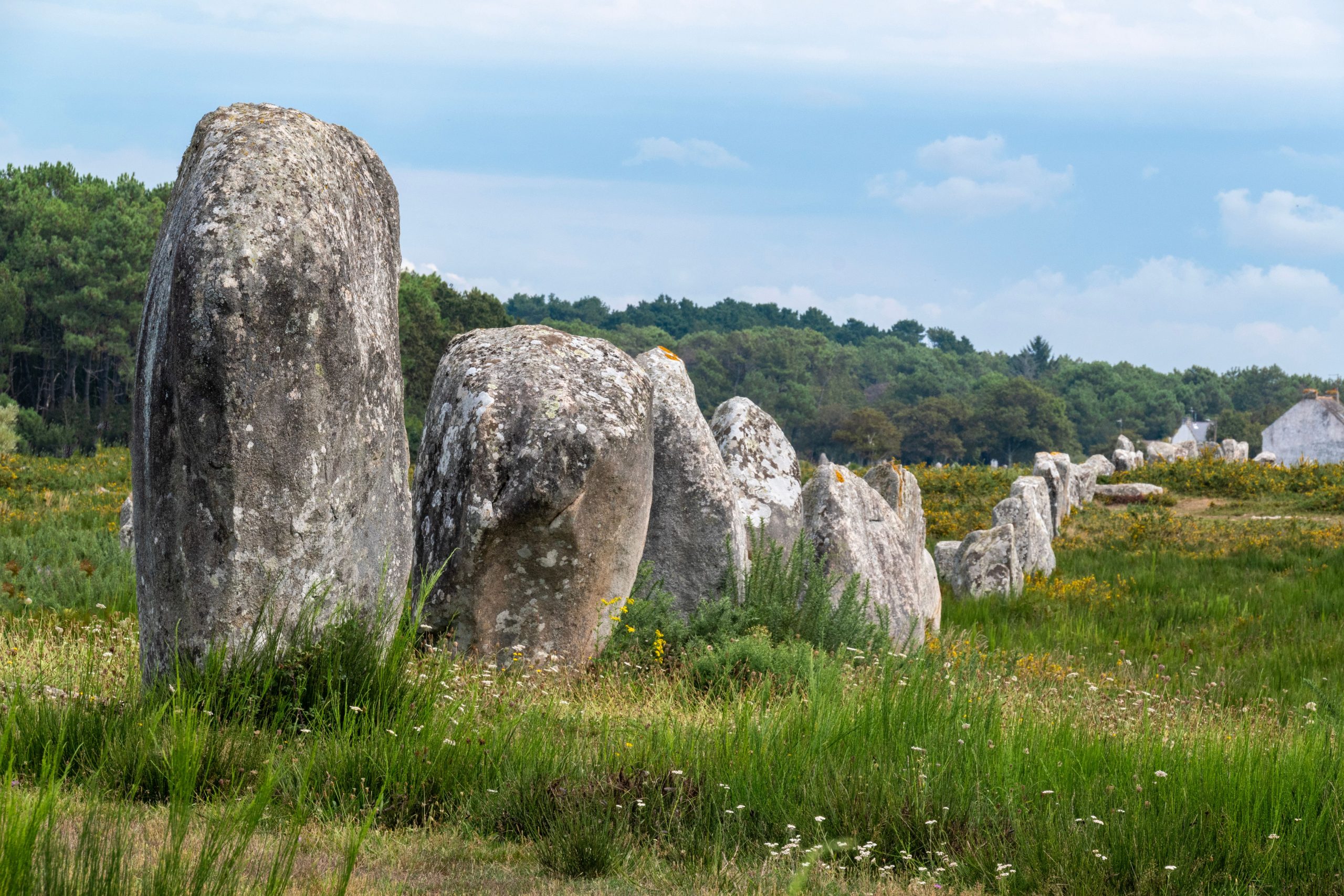 The great standing stones of the Carnac alignments, the highlight of the Carnac scenic drive in Brittany