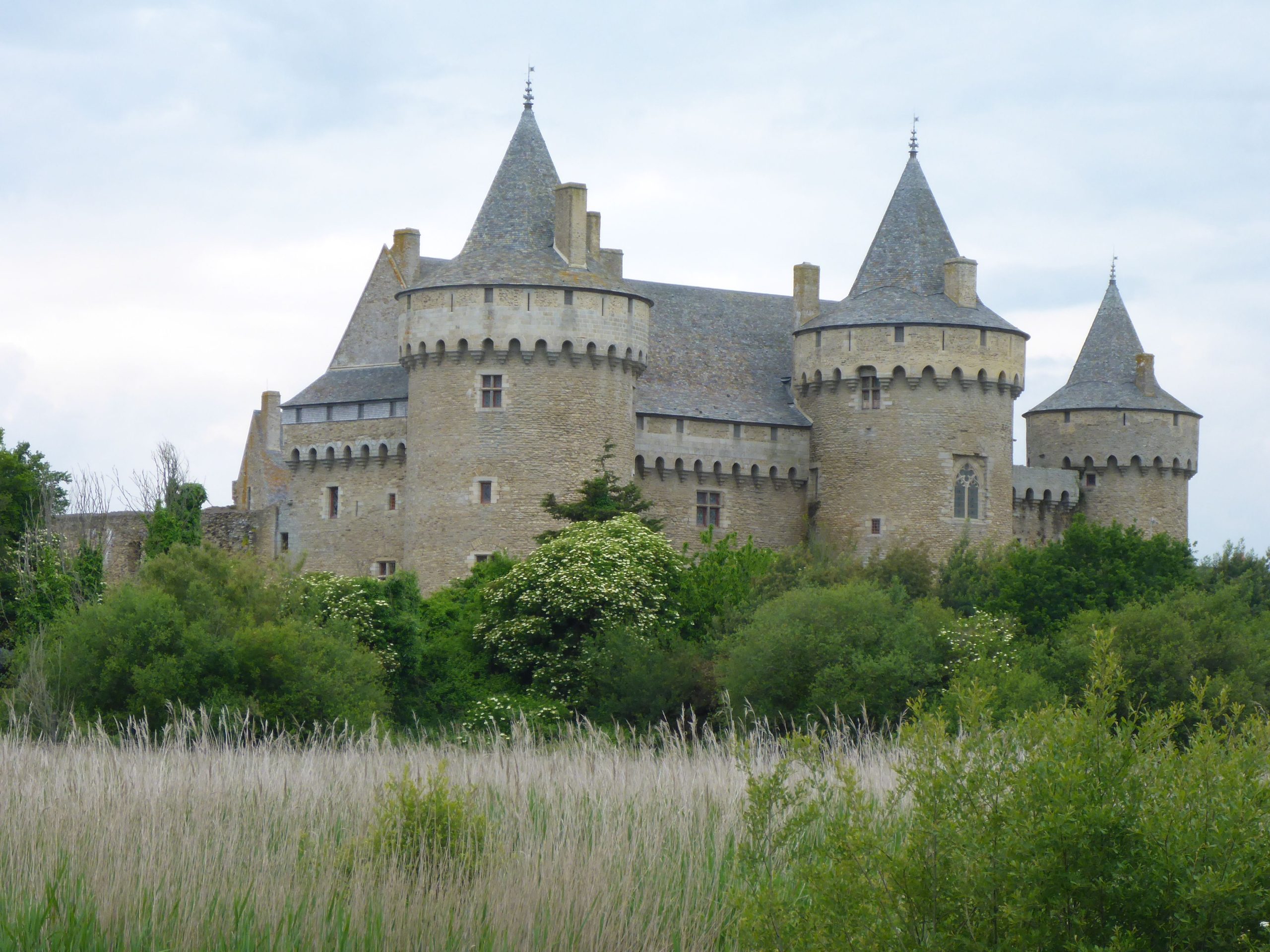 The moated Château de Suscinio on the Gulf of Morbihan scenic drive, Brittany