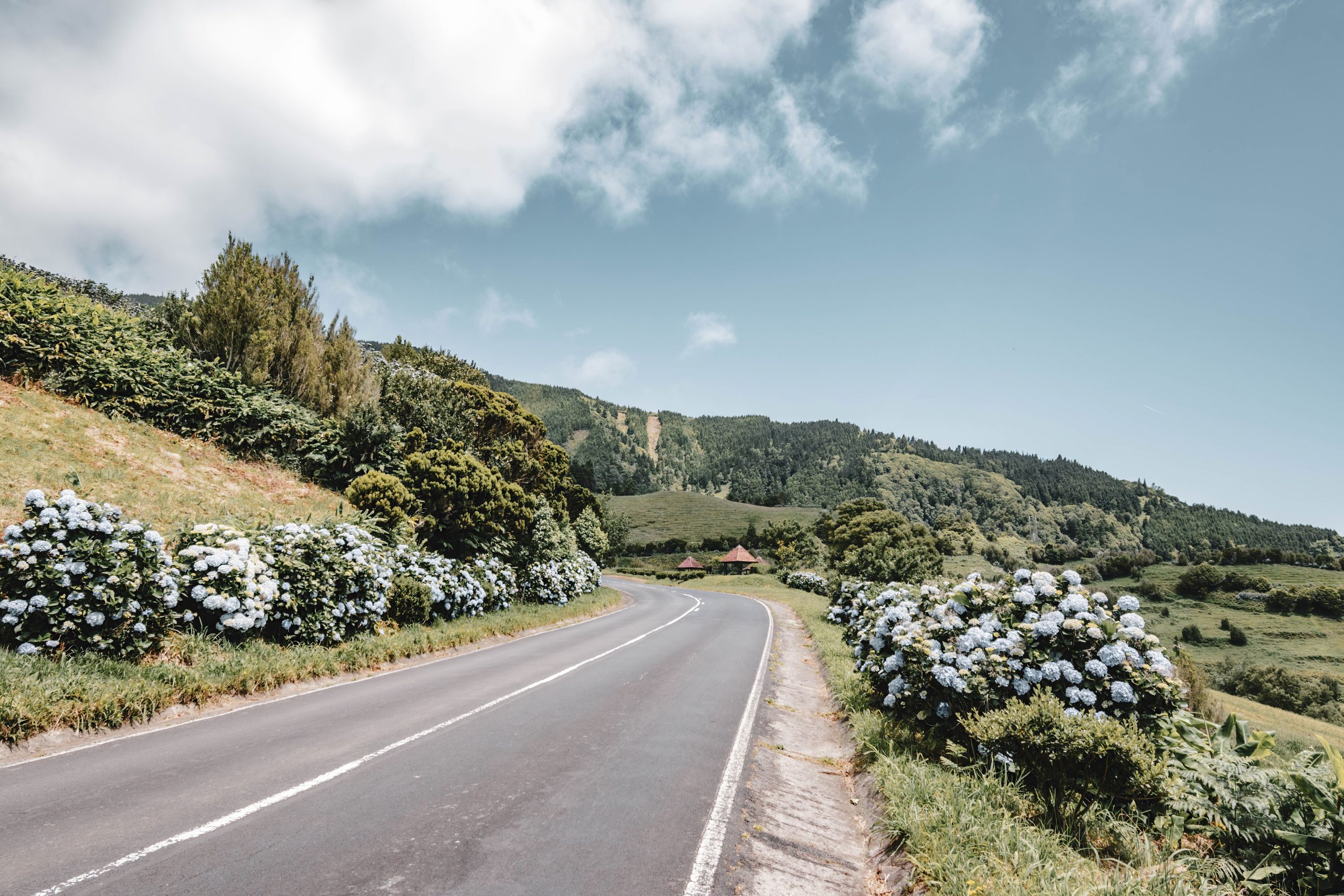 A quiet, well-paved open road on Sao Miguel, easy driving in the Azores