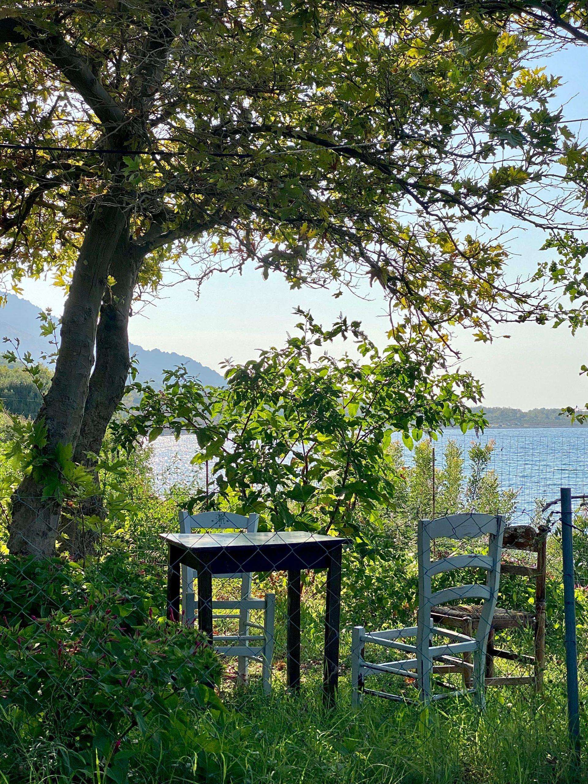 A lakeside taverna meal at Lake Kournas, a highlight of the Rethymno scenic drive