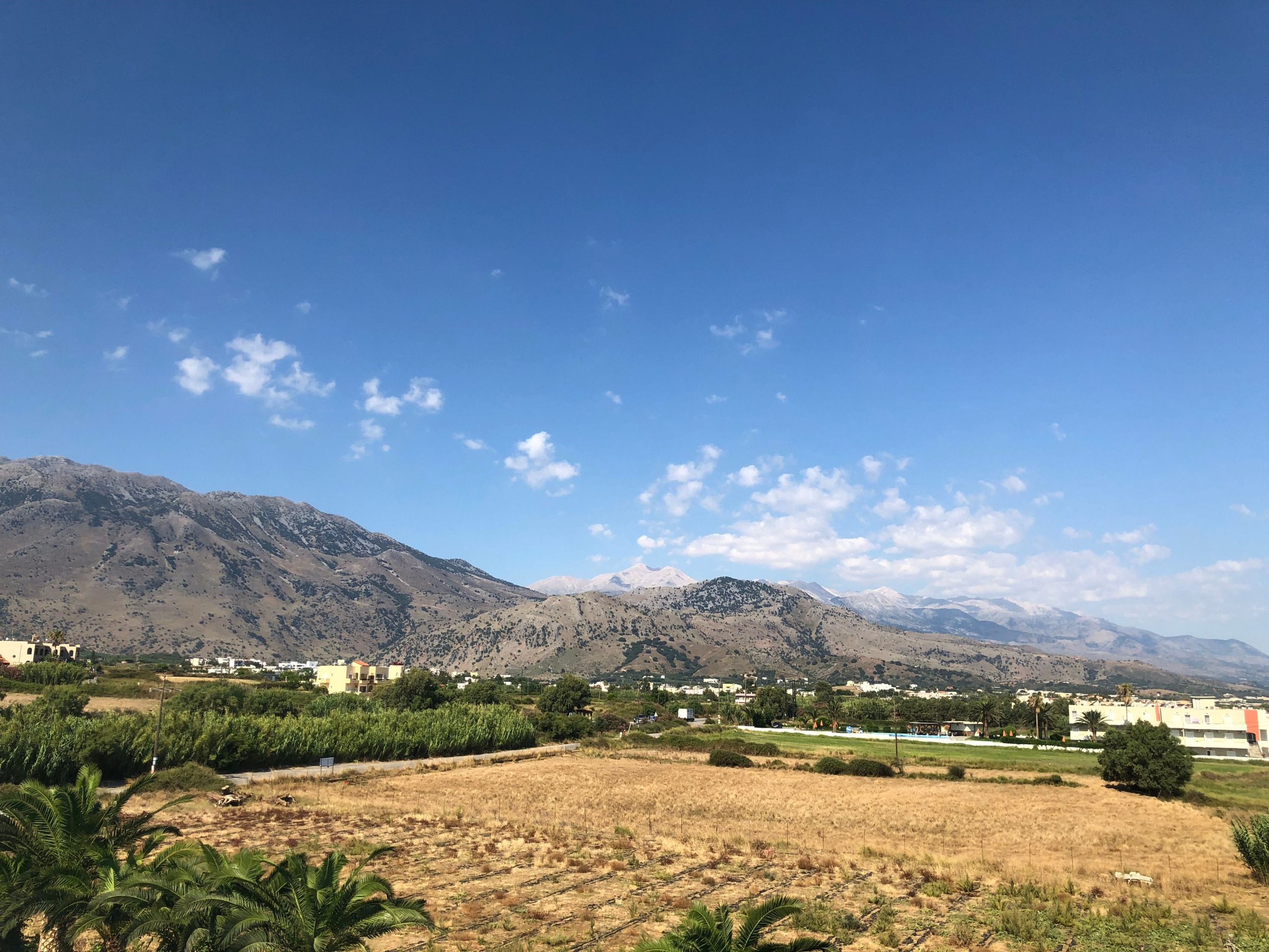 Olive groves on the Messara Plain, the fertile heart of the Cretan South scenic drive